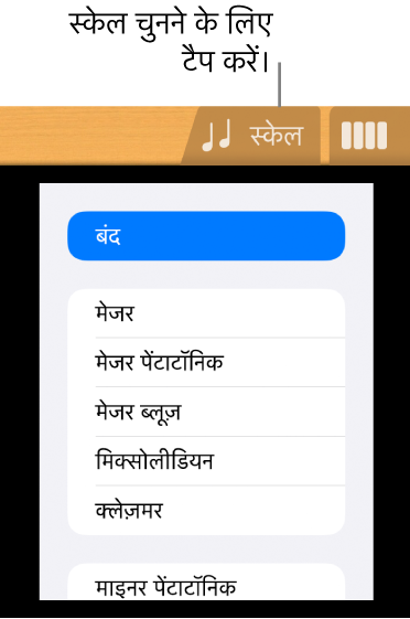 “गिटार स्केल” बटन