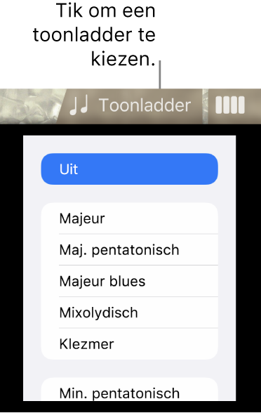 Knop 'Toonladder' en toonladderlijst voor de bas