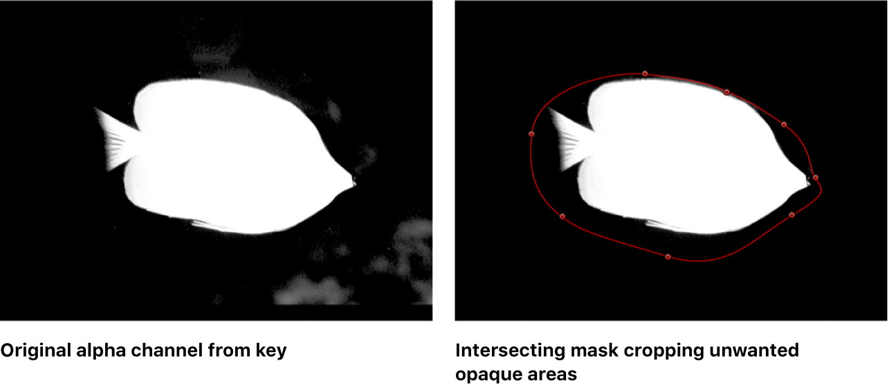 Canvas mit zwei sich überschneidenden Masken