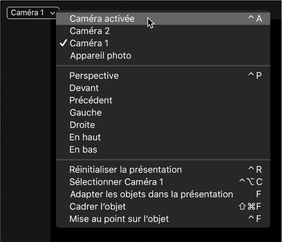 Sélection de Caméra active dans le menu local Caméra du canevas