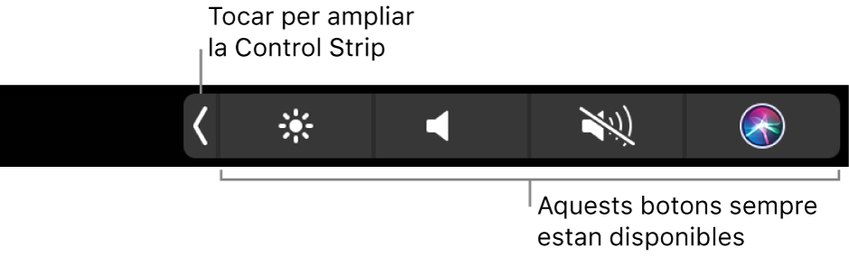 Figura. Control Strip de la Touch Bar.