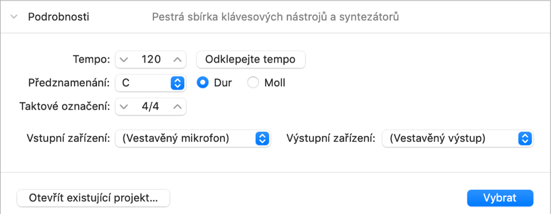 Oblast podrobností otevřeného projektu se zobrazenými parametry