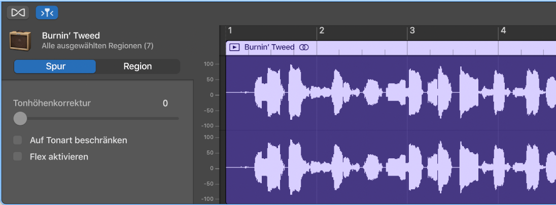 Informationsfenster „Audio-Editor“ mit Spursteuerungen