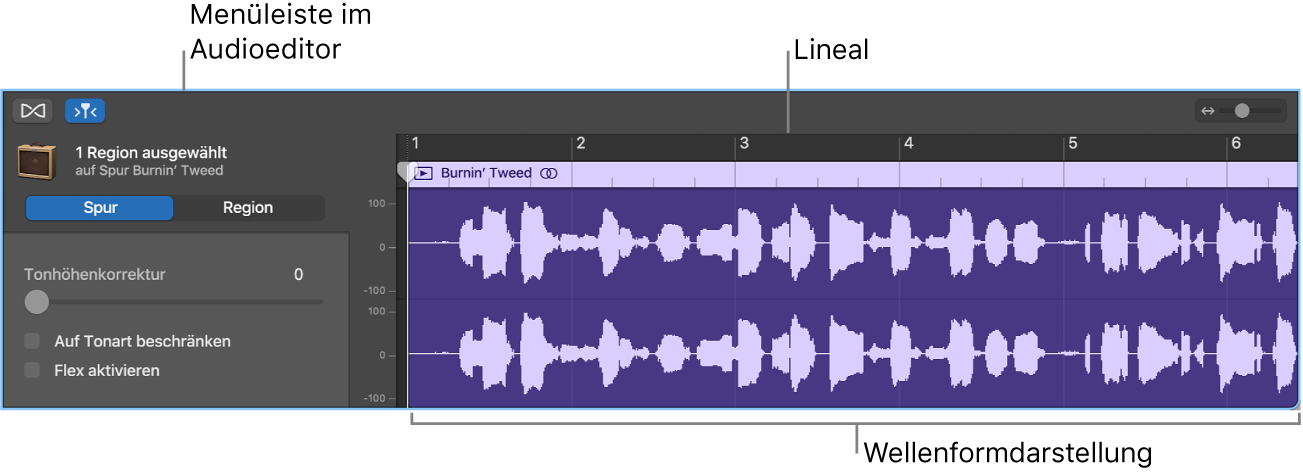 Audiospureditor mit ausgewählter Region