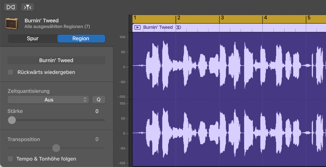 Informationsfenster „Audio-Editor“ mit Regionssteuerungen