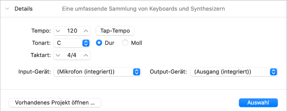 Detailbereich einer geöffneten Projektauswahl mit eingeblendeten Parametern