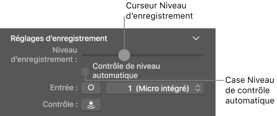 Curseur Niveau d’enregistrement et case Contrôle de niveau automatique dans l’inspecteur Smart Controls.