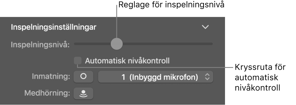 Reglaget Inspelningsnivå och kryssrutan Automatisk nivåkontroll i granskaren för Smart Controls.