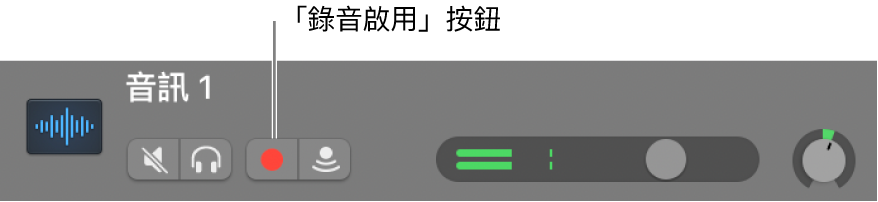 顯示「錄音啟用」按鈕的音軌標題。