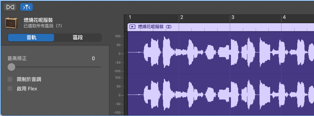 顯示「音軌」控制項目的「音訊編輯器」檢閲器。