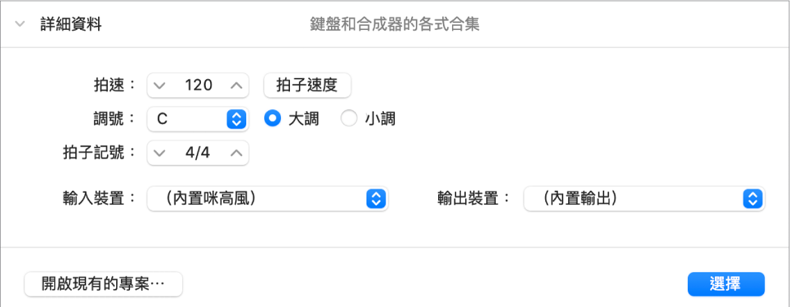 已開啟「專案選擇器」的「詳細資料」區域，顯示參數