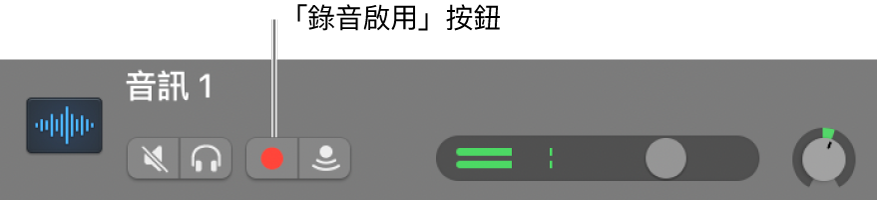 顯示「錄音啟用」按鈕的音軌標題。