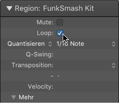 Abbildung. Feld „Loop“ im Informationsfenster „Region“
