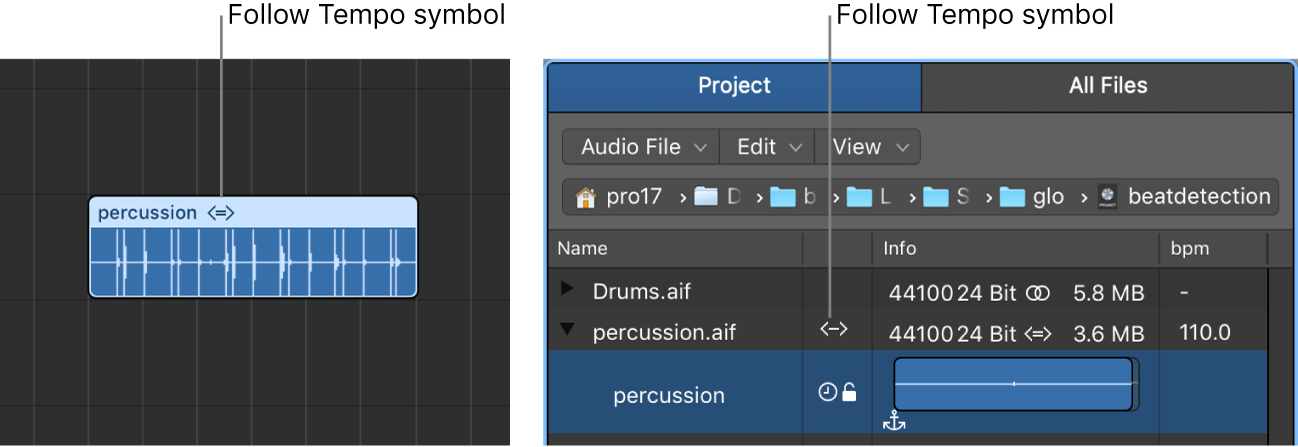 Figure. Follow Tempo symbol on audio region, and in Project Audio Browser.