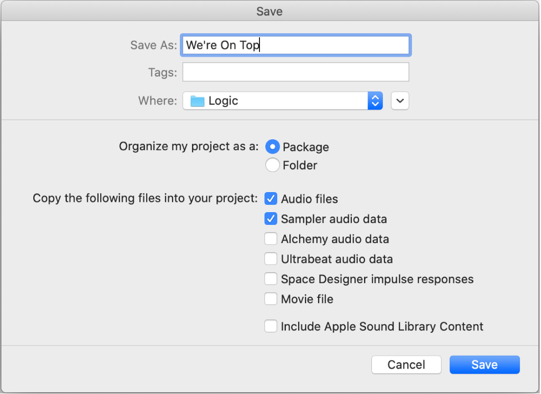 Figure. Checkboxes at the bottom of the Save As dialog, for selecting different assets to save in the project.