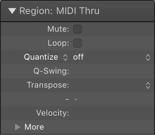 Figure. Quantize parameter in the Region inspector.