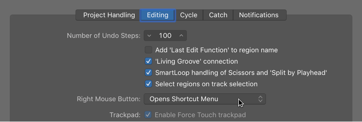 Figure. Pointer Tool checkboxes in the Editing pane in the General preferences.