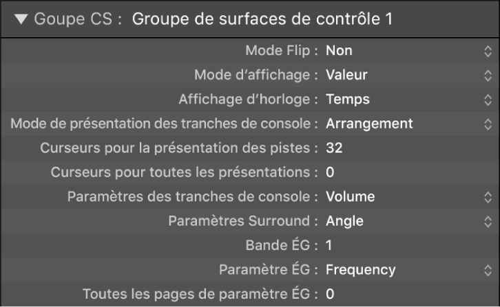 Figure. Paramètres d’affichage de groupe de surfaces de contrôle.