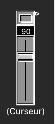 Figure. Curseur Vertical/Muet.