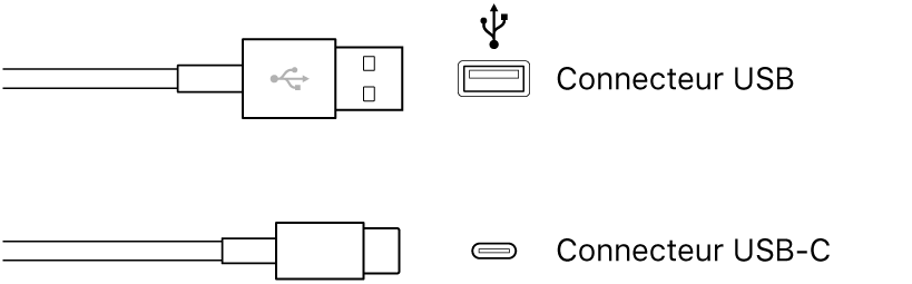 Figure. Illustration des connecteurs de types USB et USB-C.