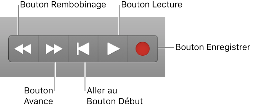 Figure. Boutons de transport de base : Rembobinage, Avance, Arrêt, Lecture et Enregistrer.