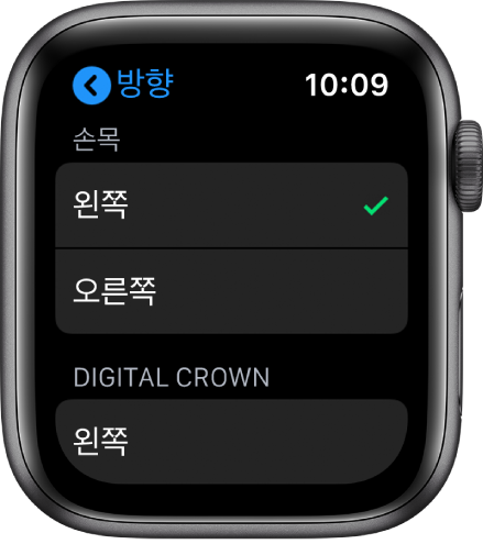 Apple Watch 방향 화면. 손목 및 Digital Crown 환경설정을 설정할 수 있음.