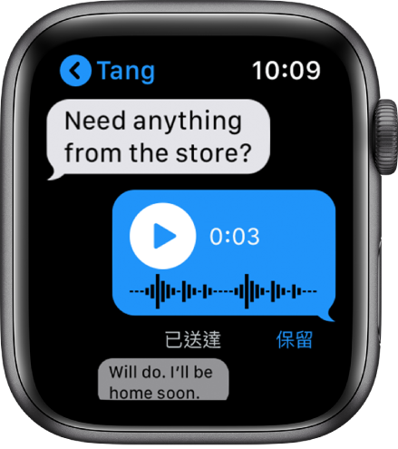 「訊息」畫面顯示對話。中間的回覆是語音訊息帶有播放按鈕。