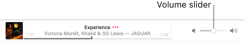The volume slider.