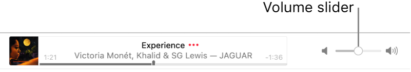 The volume slider.