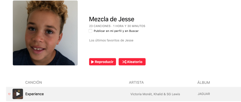 Una playlist con ilustración personalizada.