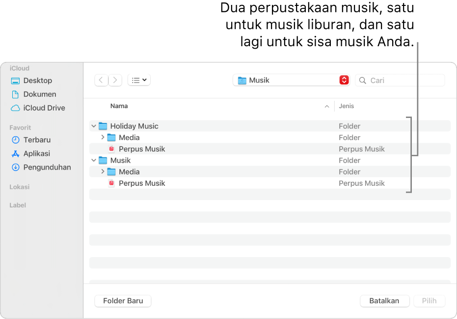 Jendela Finder menampilkan beberapa perpustakaan—satu untuk musik liburan, dan yang lain untuk sisa musik Anda.