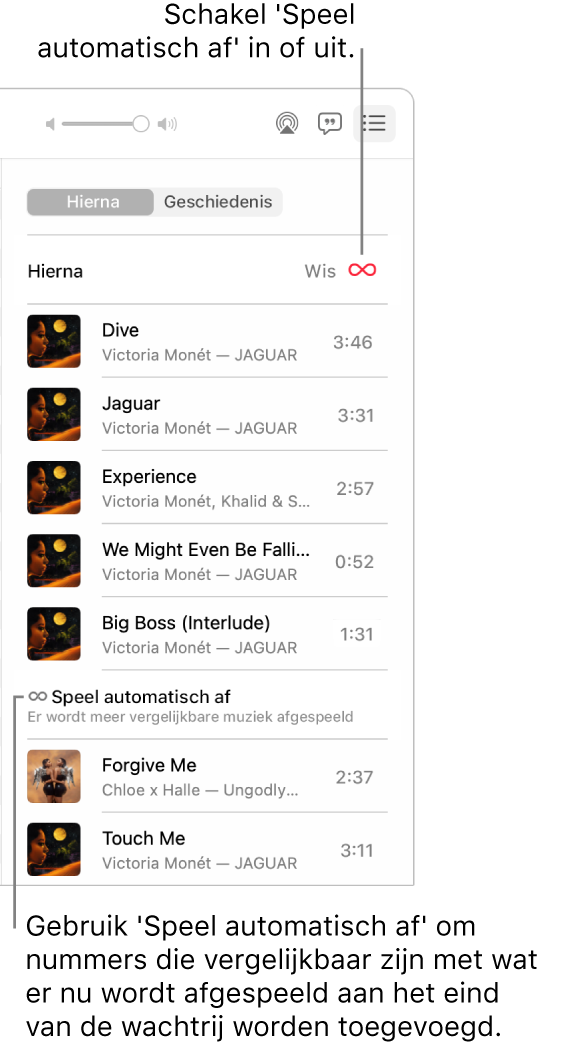 De wachtrij 'Hierna'. Klik op de knop voor automatisch afspelen om deze functie in of uit te schakelen. Wanneer 'Speel automatisch af' is ingeschakeld, worden aan het einde van de wachtrij vergelijkbare nummers toegevoegd.