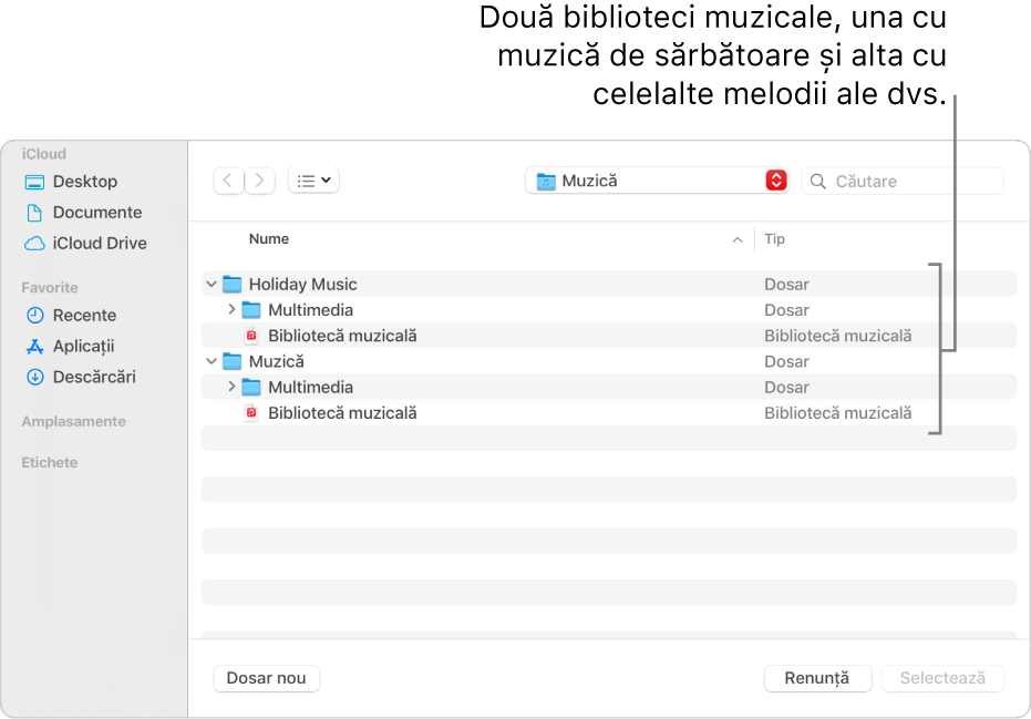 Fereastra Finder afișând mai multe biblioteci – una pentru muzica de sărbători și cealaltă pentru restul muzicii.