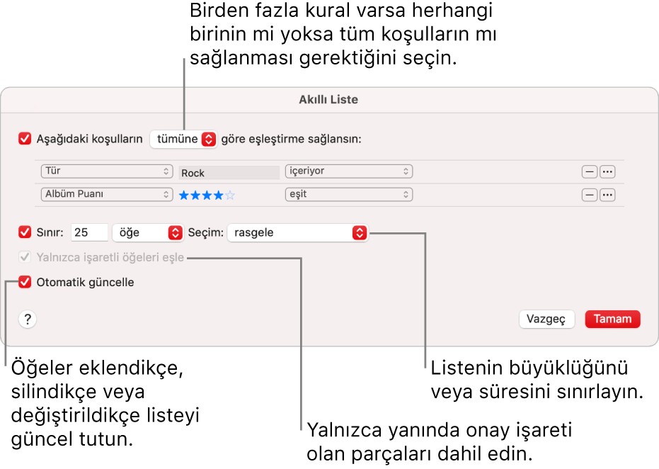 Akıllı Liste sorgu kutusu: Sol üst köşede Match’i seçin ve ardından liste kriterlerini (tür veya beğeni düzeyi gibi) belirleyin. Sağ üst köşedeki Ekle veya Sil düğmesini tıklayarak kural eklemeye veya silmeye devam edin. Sorgu kutusunun alt kısmında listenin boyutunu ve süresini sınırlandırma, yalnızca denetlenen parçaları ekleme veya arşivinizdeki öğeler değiştikçe Müzik’in listeyi güncellemesini sağlama gibi birçok seçenek arasından dilediğinizi belirleyin.