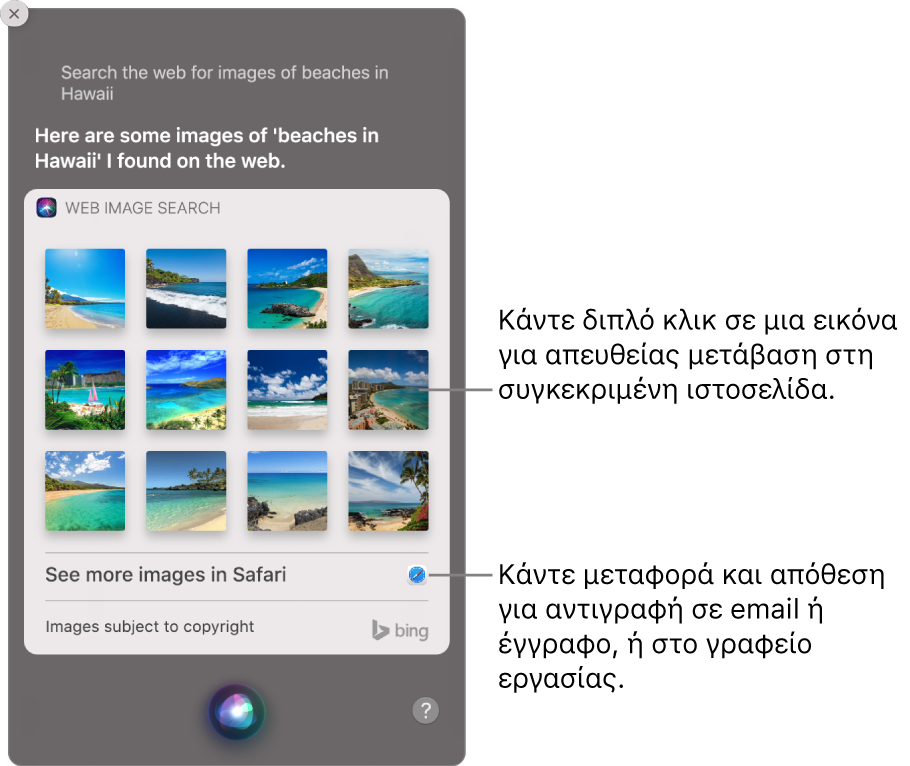 Το παράθυρο Siri με τα αποτελέσματα του Siri για το αίτημα «Search the web for images of beaches in Hawaii». Μπορείτε να κάνετε διπλό κλικ σε μια εικόνα για να ανοίξετε την ιστοσελίδα που περιέχει την εικόνα ή να μεταφέρετε μια εικόνα σε ένα email ή έγγραφο ή στο γραφείο εργασίας.