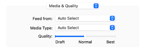 The Media & Quality option showing the Feed from and Media Type pop-up menus and a Quality scale slider.