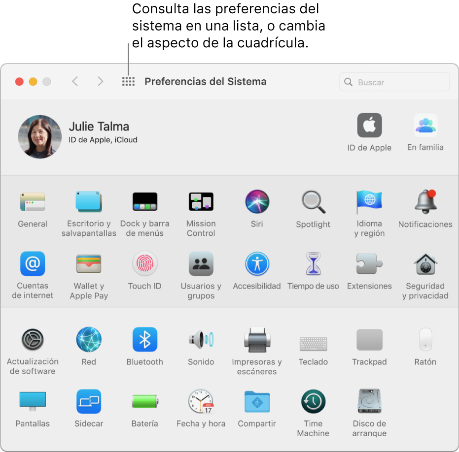 La ventana de Preferencias del Sistema en la que se muestra la cuadrícula de iconos. Haz clic en el botón “Mostrar todo” de la barra de herramientas de la ventana para ver las preferencias del sistema a modo de lista o para cambiar cómo se muestra la cuadrícula.