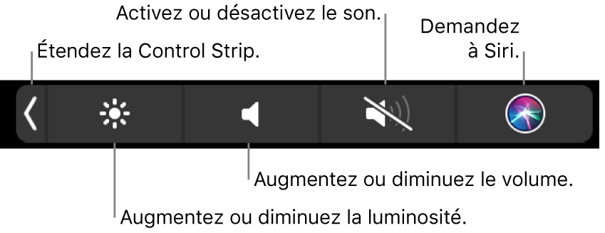 La Control Strip condensée comprend des boutons de gauche à droite, pour développer la Control Strip, augmenter ou baisser la luminosité de l’écran ou le volume, couper ou rétablir le son et demander des choses à Siri.