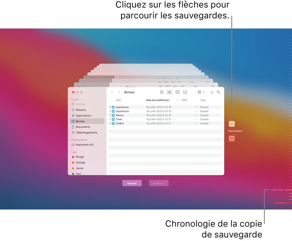 Lorsque vous ouvrez Time Machine, un écran flou s’affiche avec plusieurs écrans du Finder empilés pour représenter les sauvegardes. Cliquez sur les flèches pour parcourir vos sauvegardes (ou cliquez dans la chronologie de sauvegarde située à droite) et choisissez les fichiers à restaurer.