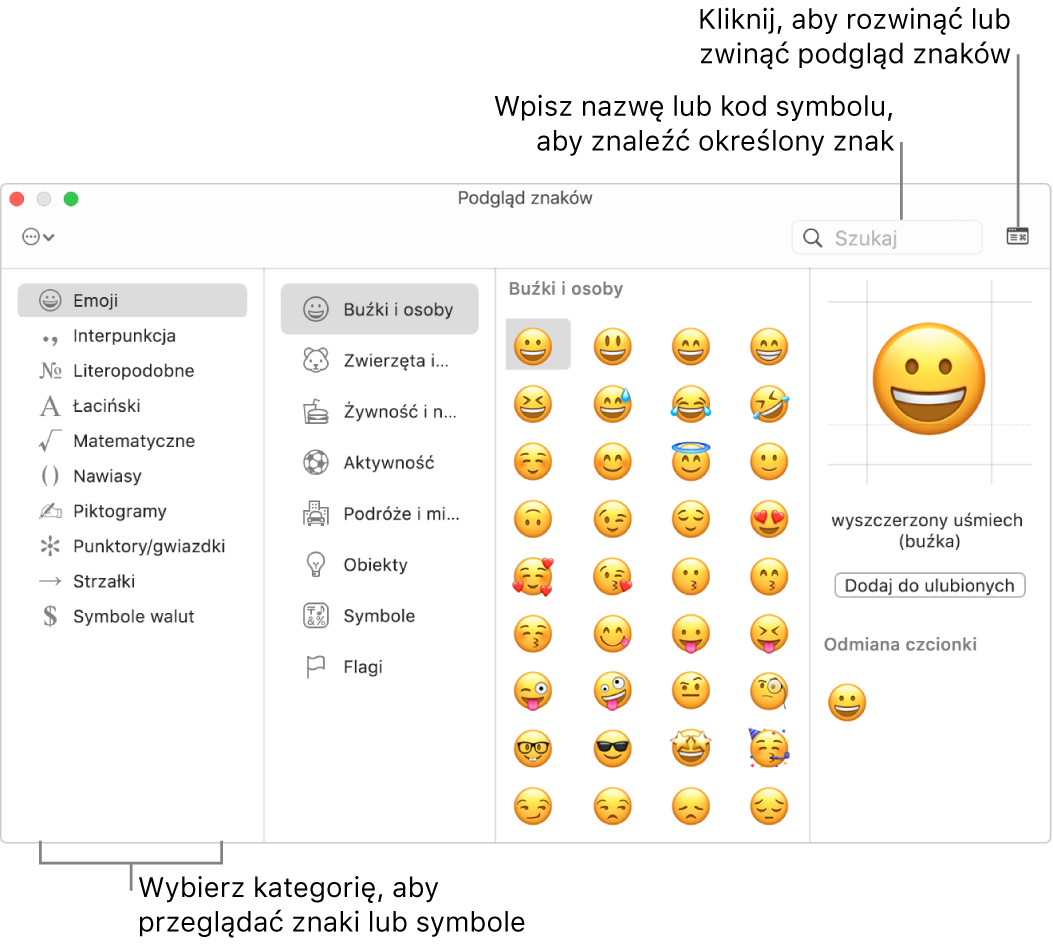 Okno podglądu znaków. Wybierz kategorię po lewej, aby przeglądać należące do niej znaki lub symbole. Wpisz nazwę lub kod symbolu w polu wyszukiwania, aby znaleźć określony znak. Kliknij w prawym górnym rogu okna, aby rozwinąć lub zwinąć podgląd.