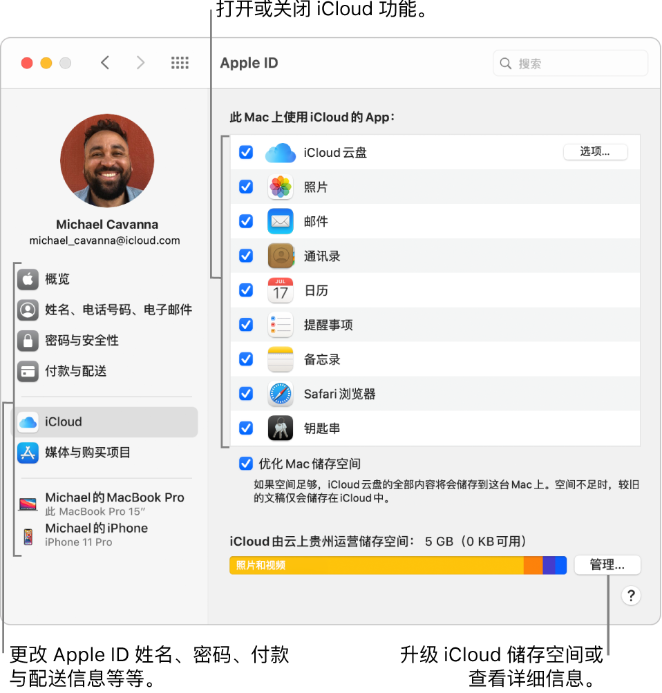 已选定所有功能的 iCloud 偏好设置。