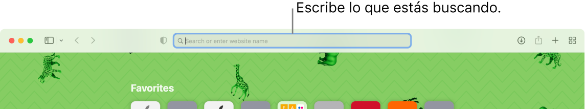 Una ventana de Safari recortada con una llamada al campo de búsqueda, en la parte superior de la ventana.