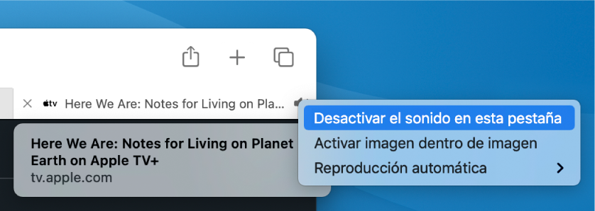 El submenú del icono Audio, con los ítems “Desactivar el sonido en esta pestaña”, “Activar imagen dentro de imagen” y “Reproducción automática”.