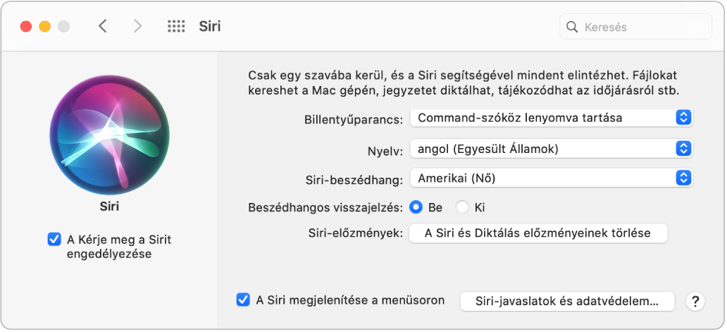 A Siri-beállítások ablaka, amelynek bal oldalán be van jelölve A Siri megkérdezésének engedélyezése jelölőnégyzet, jobb oldalán pedig számos különböző beállítás található a Siri testreszabásához.