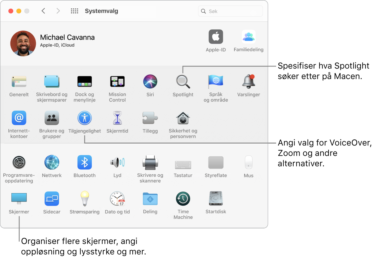 Systemvalg-vinduet.