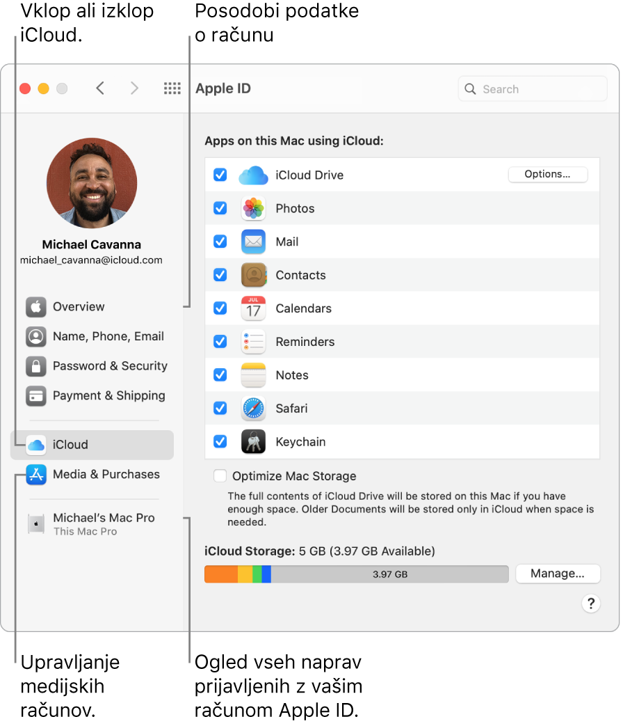 Podokno Apple ID v možnosti System Preferences. Kliknite element v stranski vrstici, da posodobite podatke o računu, vklopite ali izklopite storitev iCloud, upravljate račune za predstavnostno vsebino in si oglejte vse naprave, v katere ste prijavljeni z računom Apple ID.