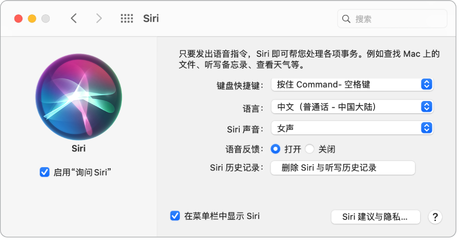 Siri 偏好设置窗口，左边“启用‘询问 Siri’”已选，右边显示多个自定 Siri 的选项。