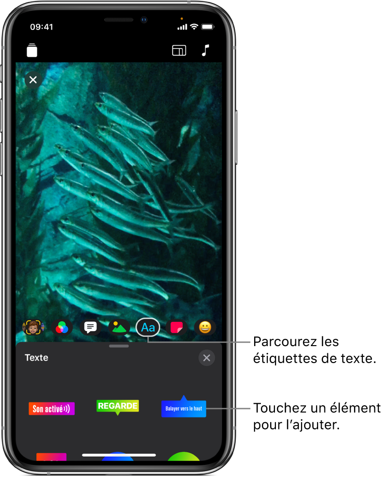 Une image vidéo dans le visualiseur, avec le bouton Texte sélectionné et les options d’étiquette de texte affichées en bas.