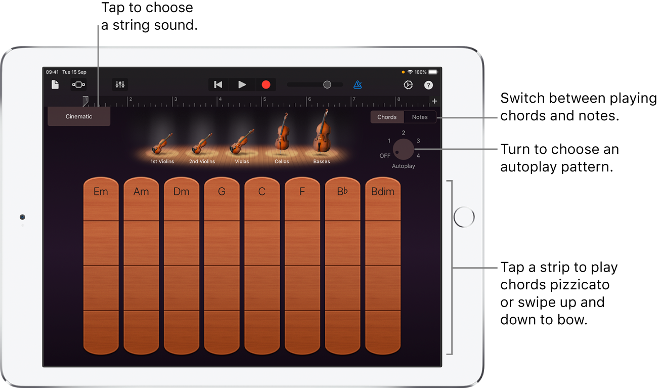 Strings Touch Instrument