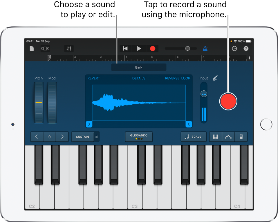 Sampler Touch Instrument